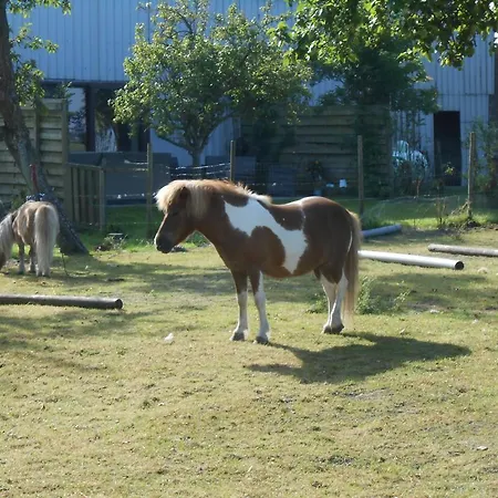 مزرعة للإقامة Vakantieboerderij Hof Van Eden